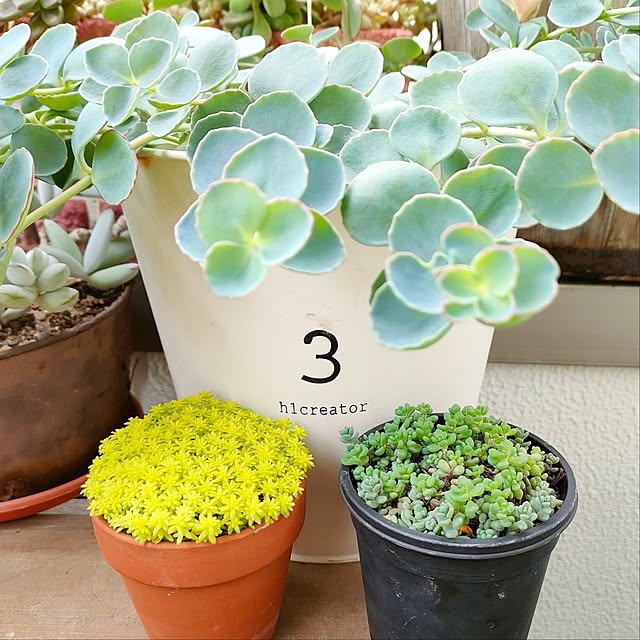 VERANDARJUNさんの実例写真