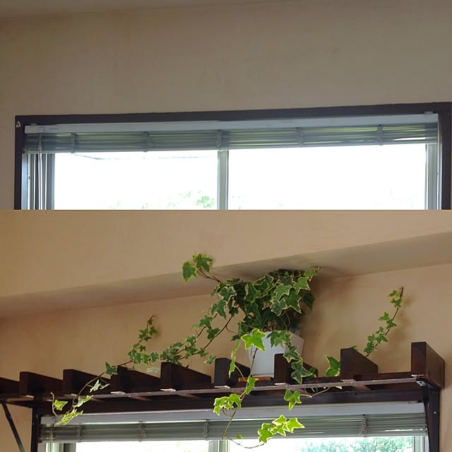kirara1027さんの実例写真