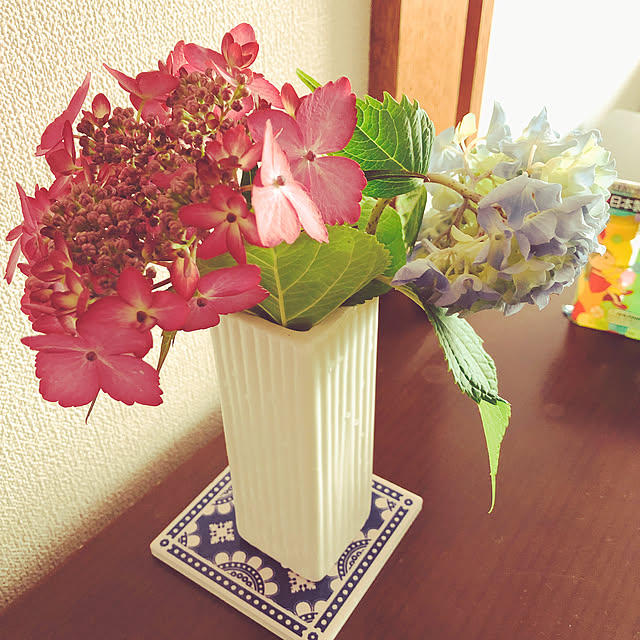 chiichanさんの実例写真
