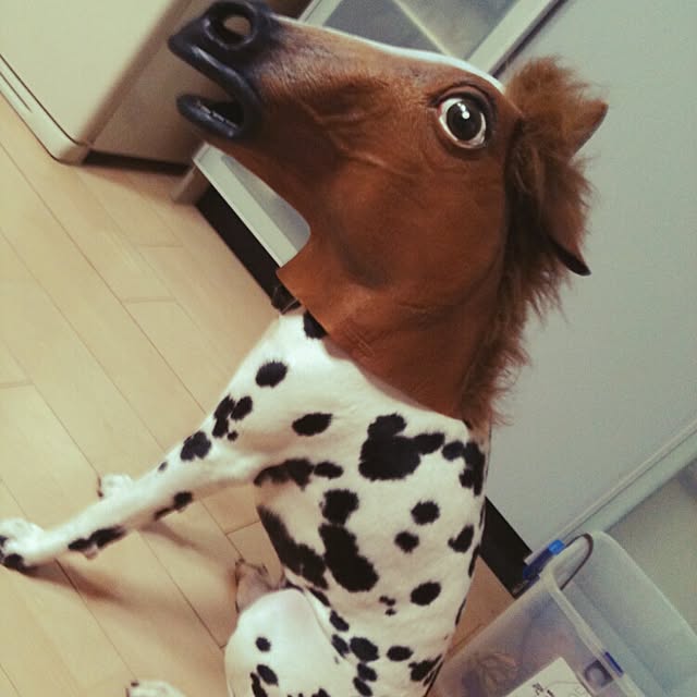 R-TYPEさんの実例写真