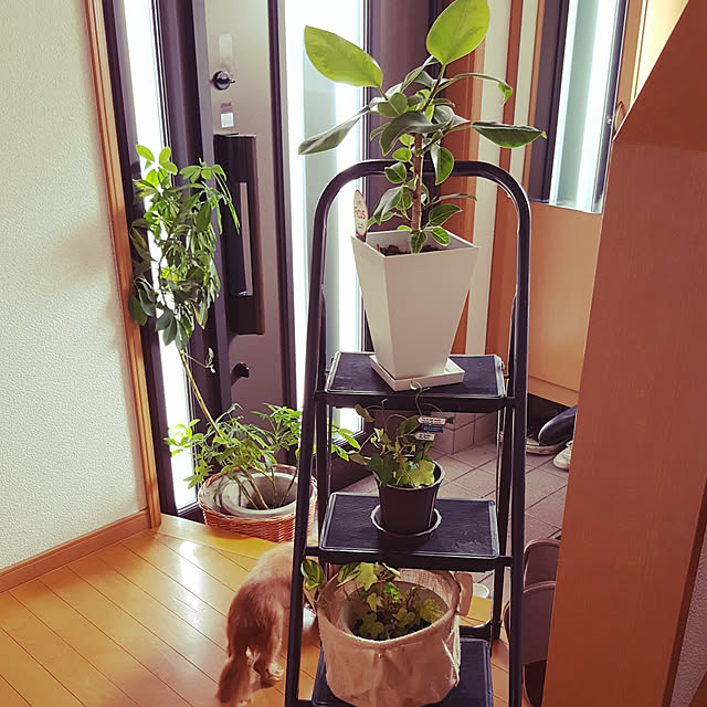hanapanさんの実例写真