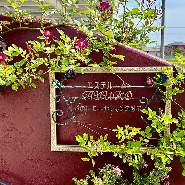 AYUKOさんの実例写真