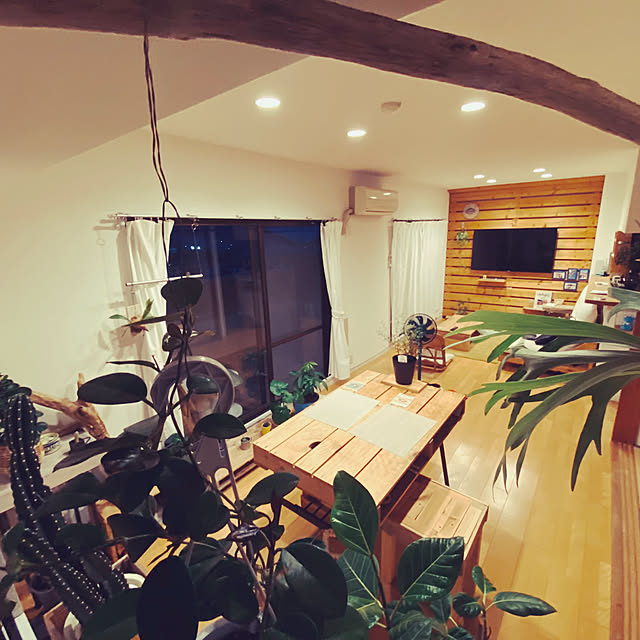 リビング/DIY/観葉植物/レトロ/アンティークのインテリア実例 - 2025-06-08 10:30:54