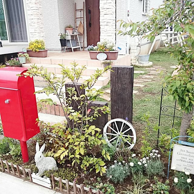 Yokoさんの実例写真