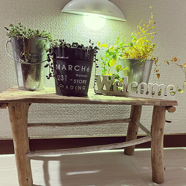 観葉植物/アンティーク/DIY/多肉植物/流木...などのインテリア実例 - 2022-05-10 20:39:23