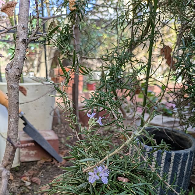 mori_6_12さんの部屋