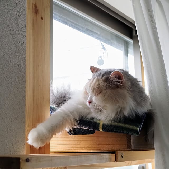 hiromi0302さんの実例写真
