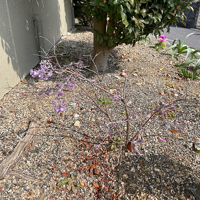 shin0719さんの部屋