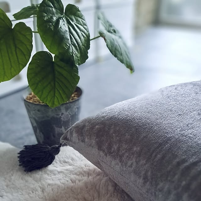 noaさんの部屋