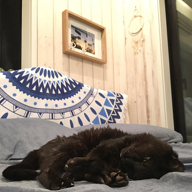 TiffanyTさんの実例写真