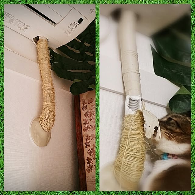 Lukiさんの実例写真