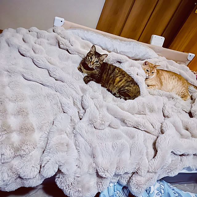 chiiさんの実例写真