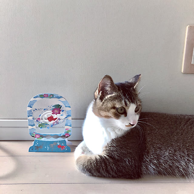 nekomiさんの実例写真