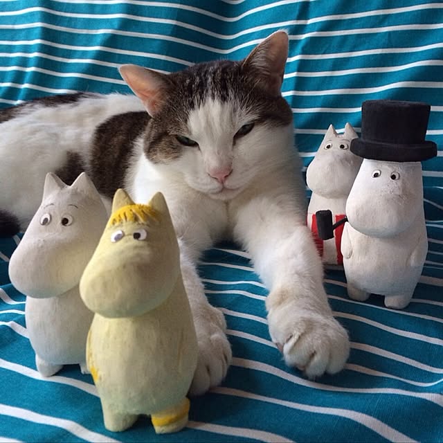 kojiさんの実例写真