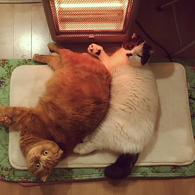 pinaminさんの実例写真