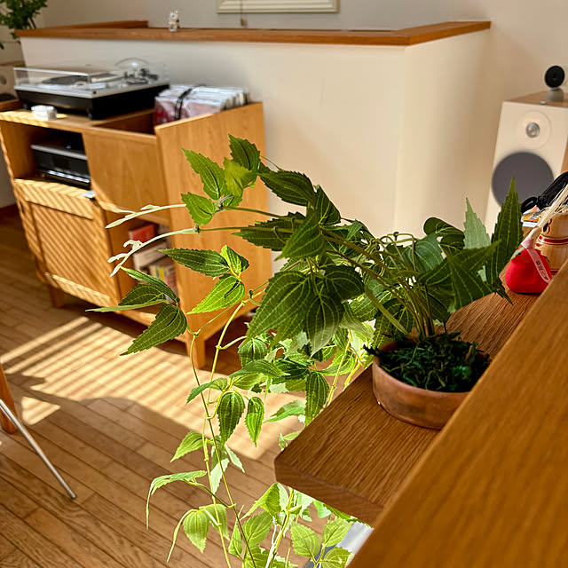 kasugaiさんの部屋