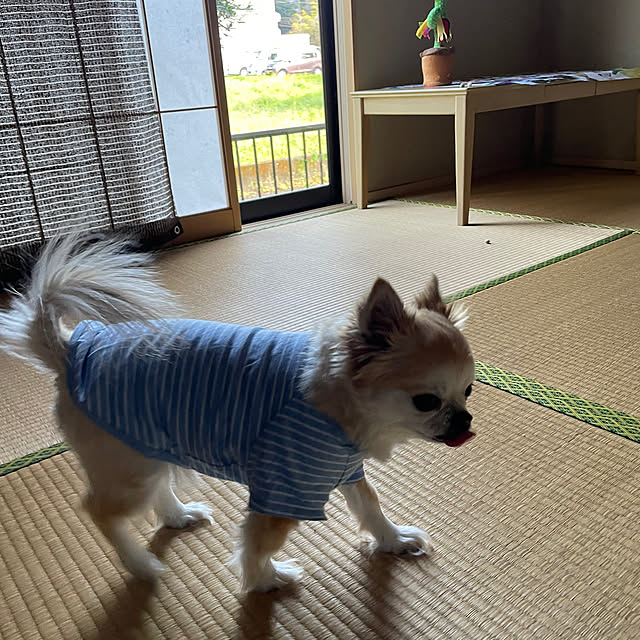 natsumiさんの部屋