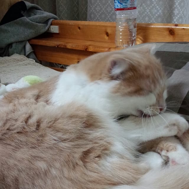 yuさんの実例写真