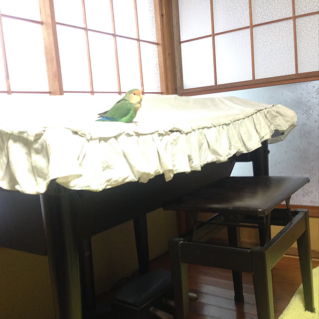 aoinokimiさんの実例写真