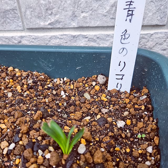 mocomocoさんの部屋