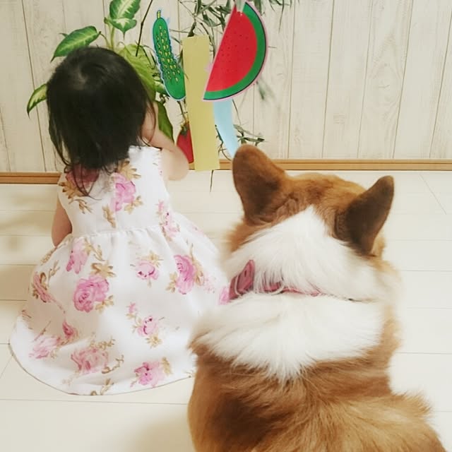 yukiさんの実例写真