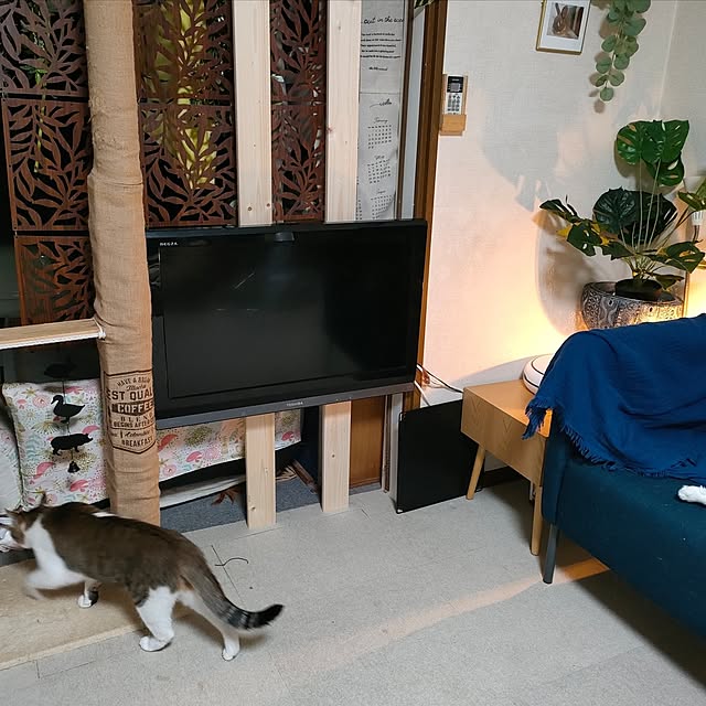 mori_6_12さんの部屋