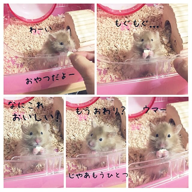 emiさんの実例写真