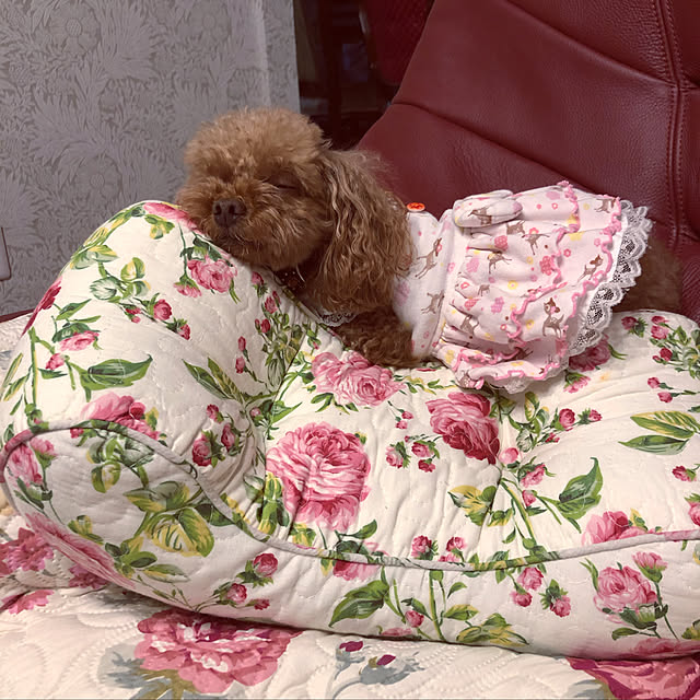 Tiaraさんの実例写真