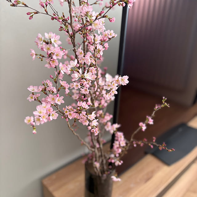 mamachanさんの部屋