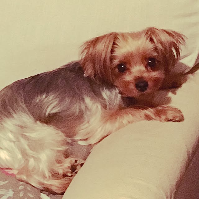Chocoさんの実例写真