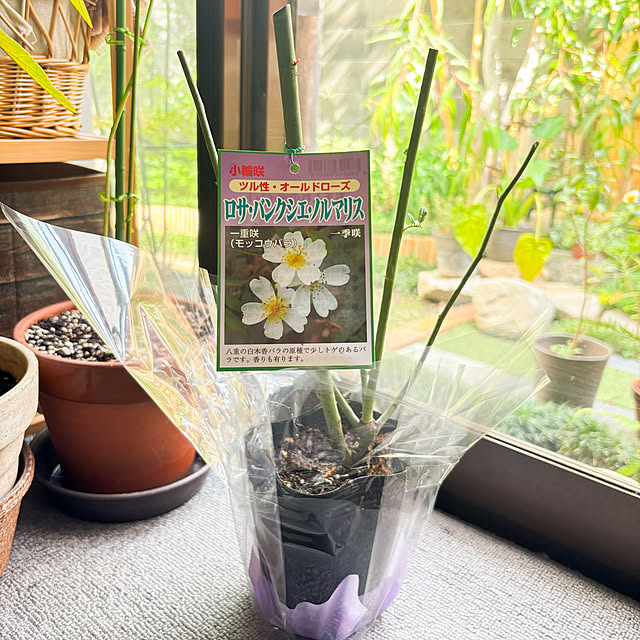 fawnさんの実例写真