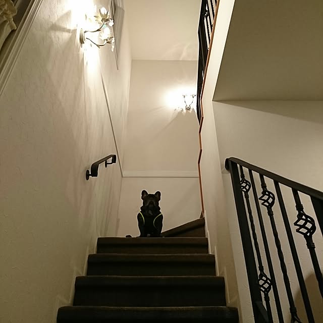 figaroさんの実例写真