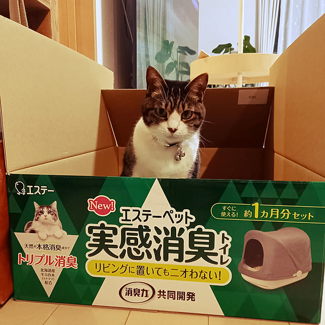 civicglさんの実例写真