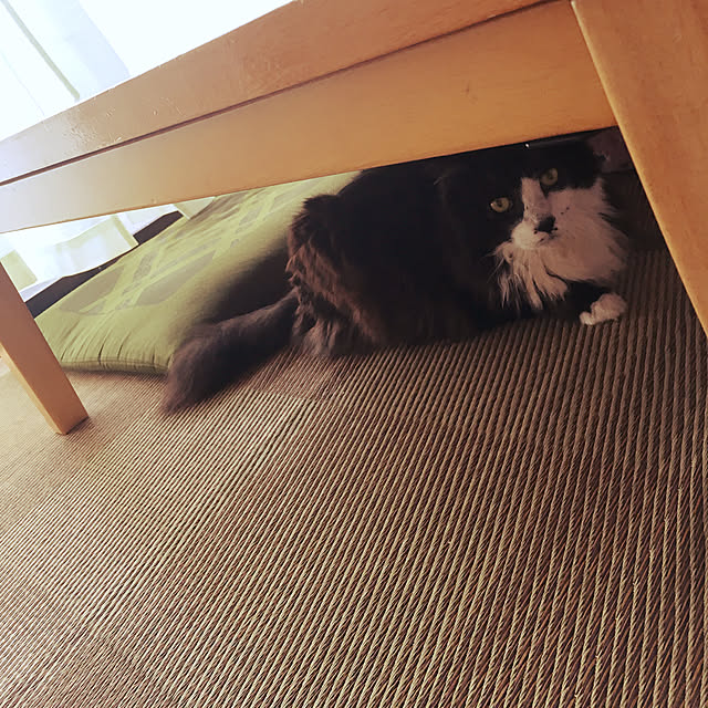 kanaさんの実例写真