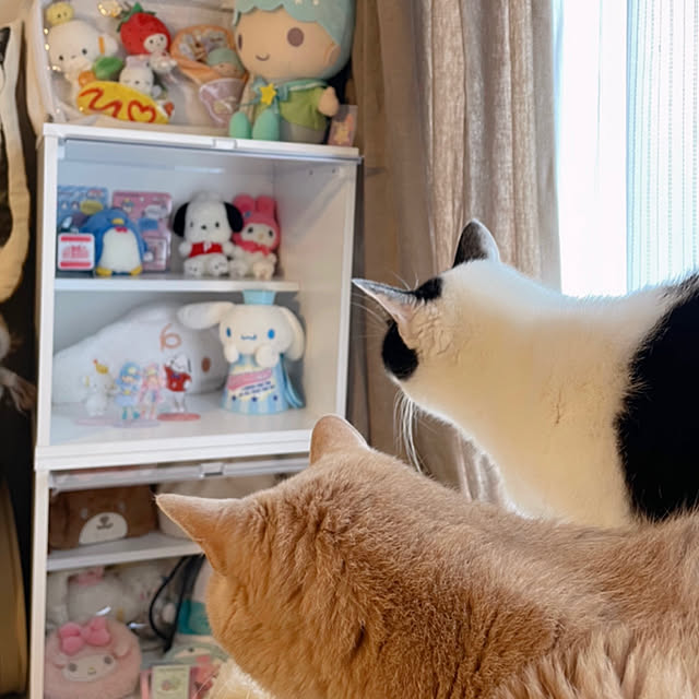 nicoさんの実例写真