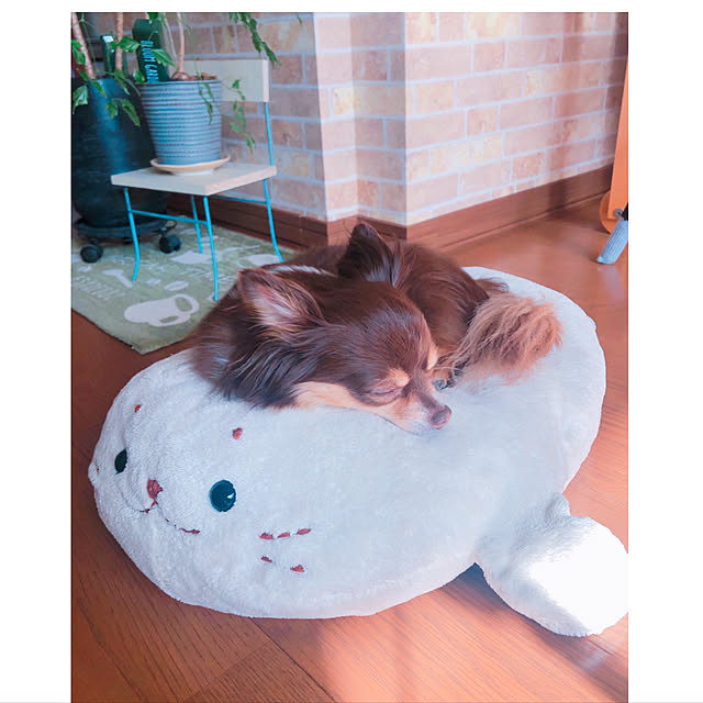 arinkoさんの実例写真