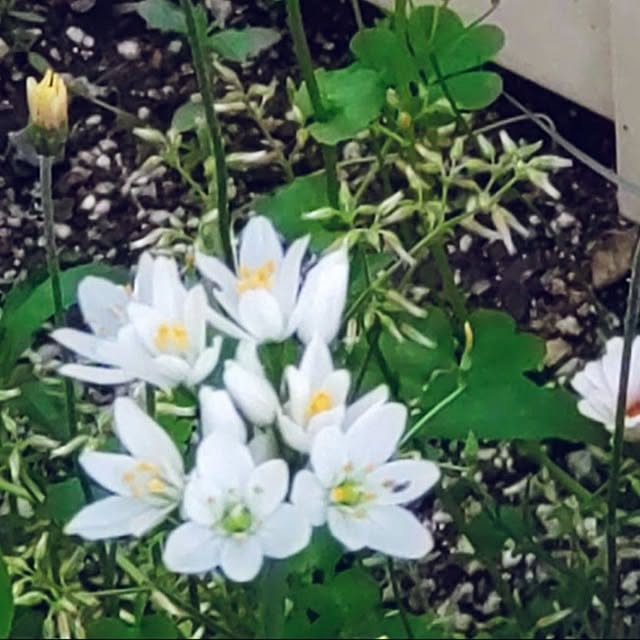 Bienvenueさんの部屋