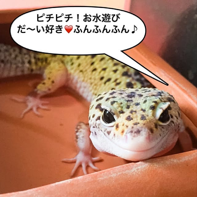 fundiveさんの実例写真