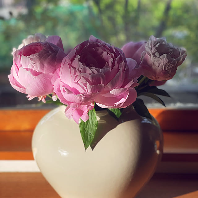 kabu10さんの部屋