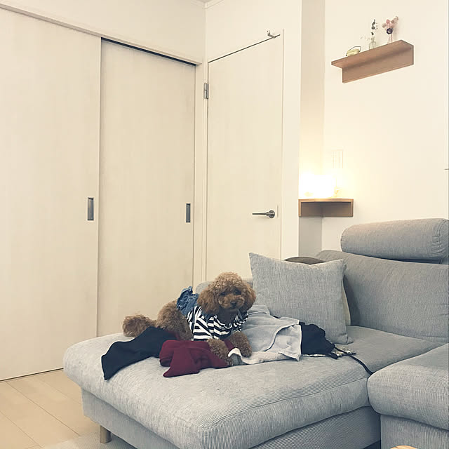 marpontaさんの実例写真