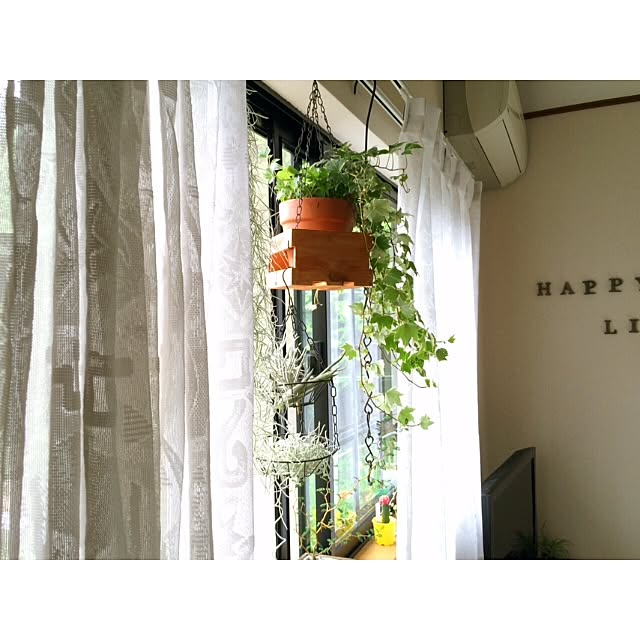 壁/天井/植物のインテリア実例 - 2015-07-14 09:10:19