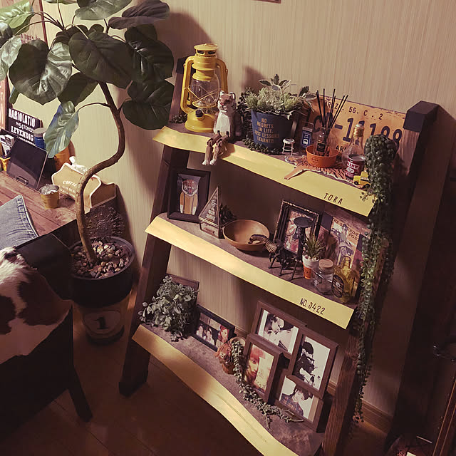 Tatsuyaさんの実例写真