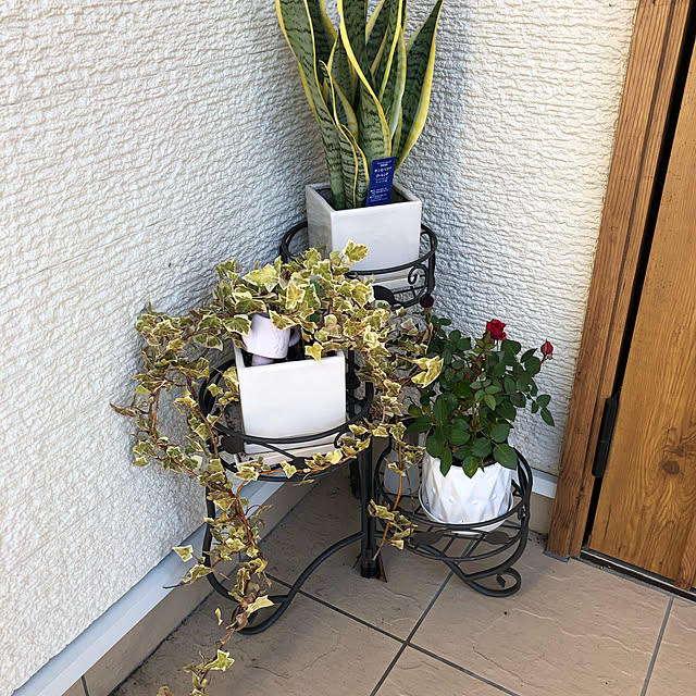 実例写真