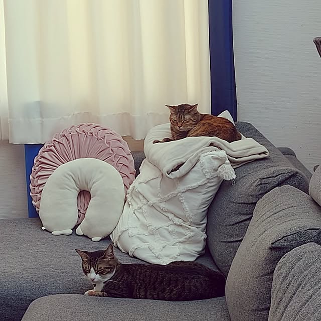 mochicoさんの部屋
