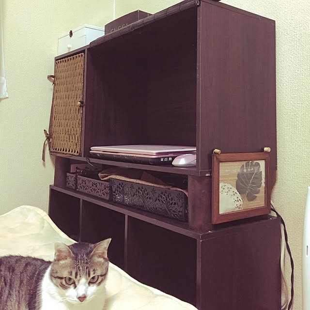 yume3.9さんの実例写真