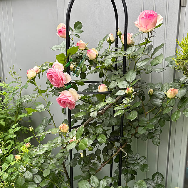 nannoさんの実例写真