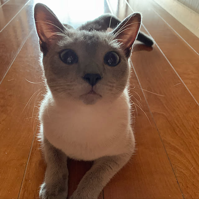 nonさんの実例写真