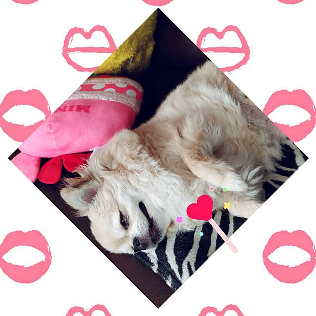 kiraさんの実例写真