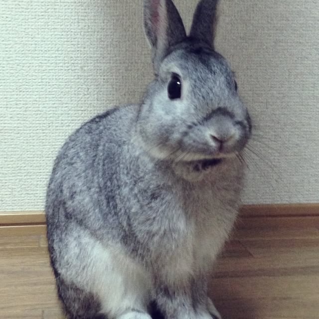 pyonta0728さんの実例写真