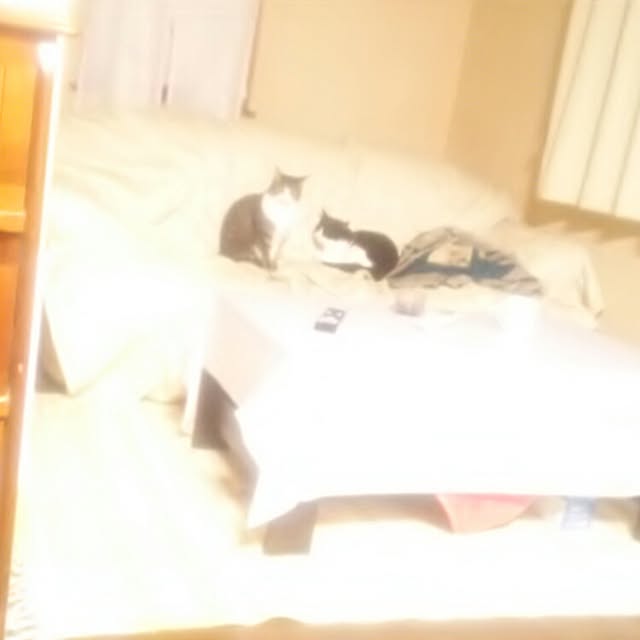 tomopさんの実例写真